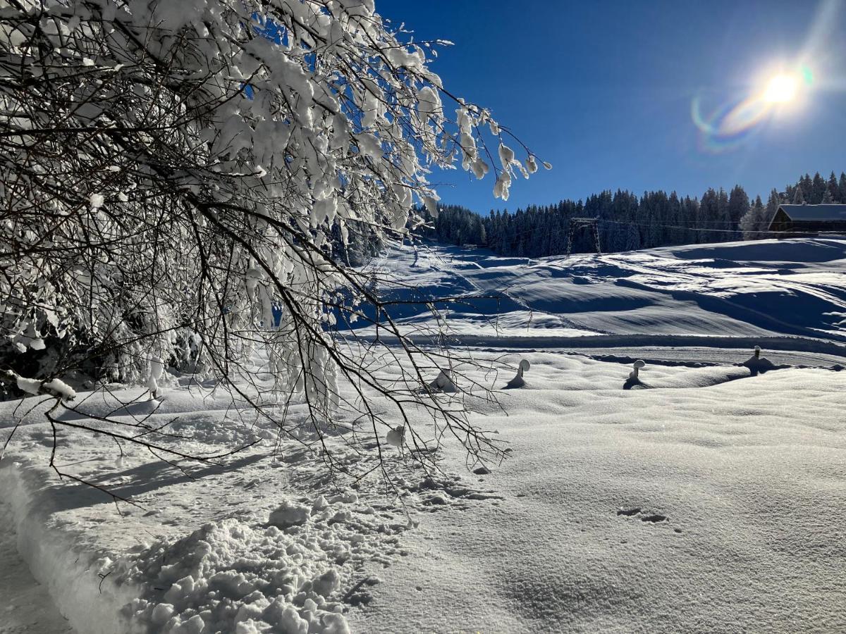 Ferienwohnung Bergblick Am Rande Der Wildnis Sibratsgfäll Exterior foto